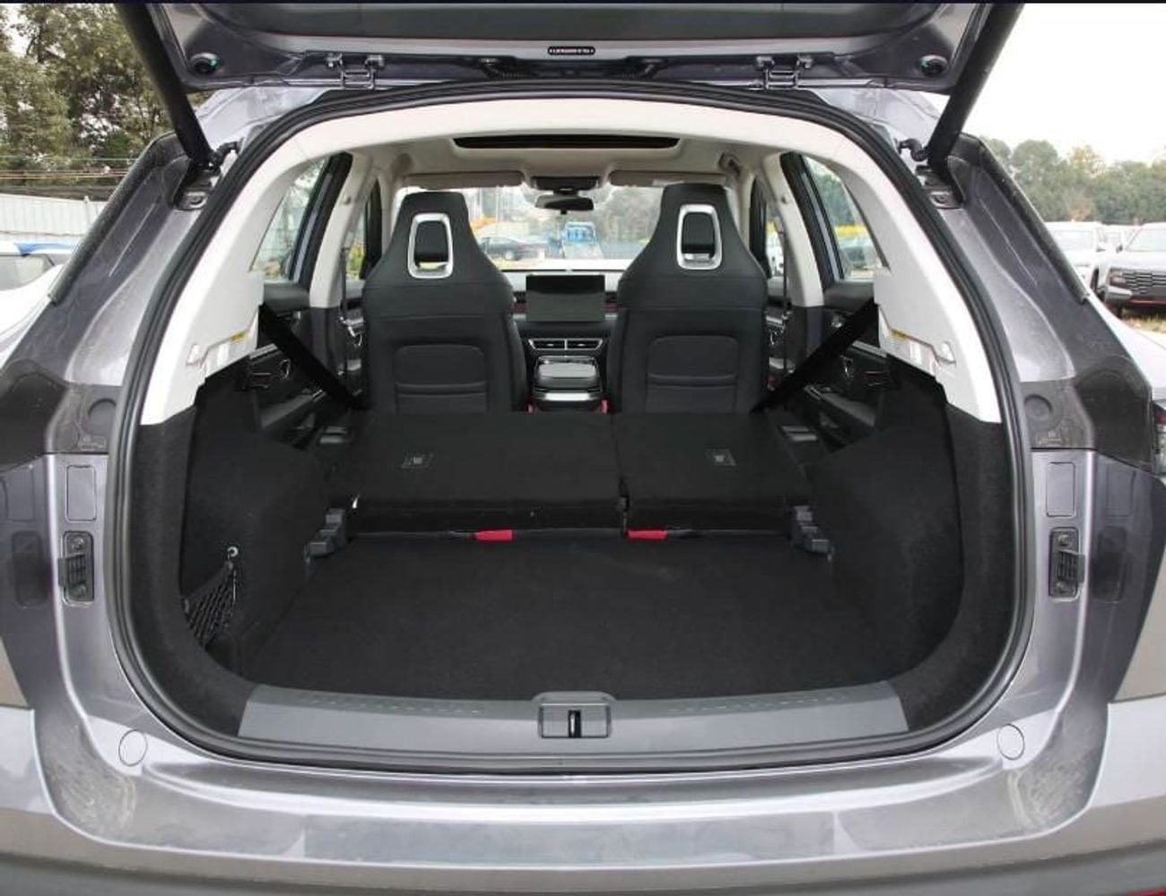 جيتور داشينج Longteng Max