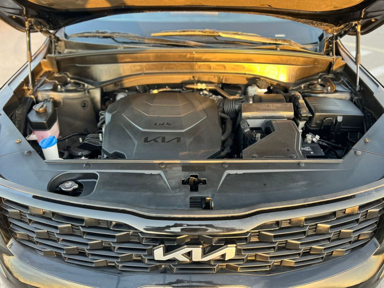 كيا تيلورايد 