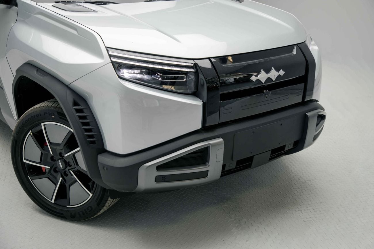 BYD Leopard Titanium 3 ID Ultra - Silver Inside Black | Export Only