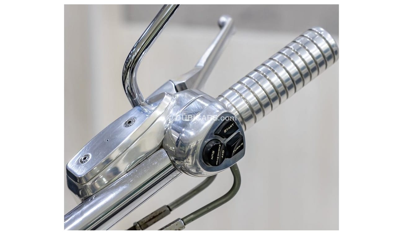 هارلي ديفيدسون بج دوغ HARLEY DAVIDSON BIG DOG CHOPPER + VANCE AND HINES EXHAUST SYSTEM - FLAME EDITION