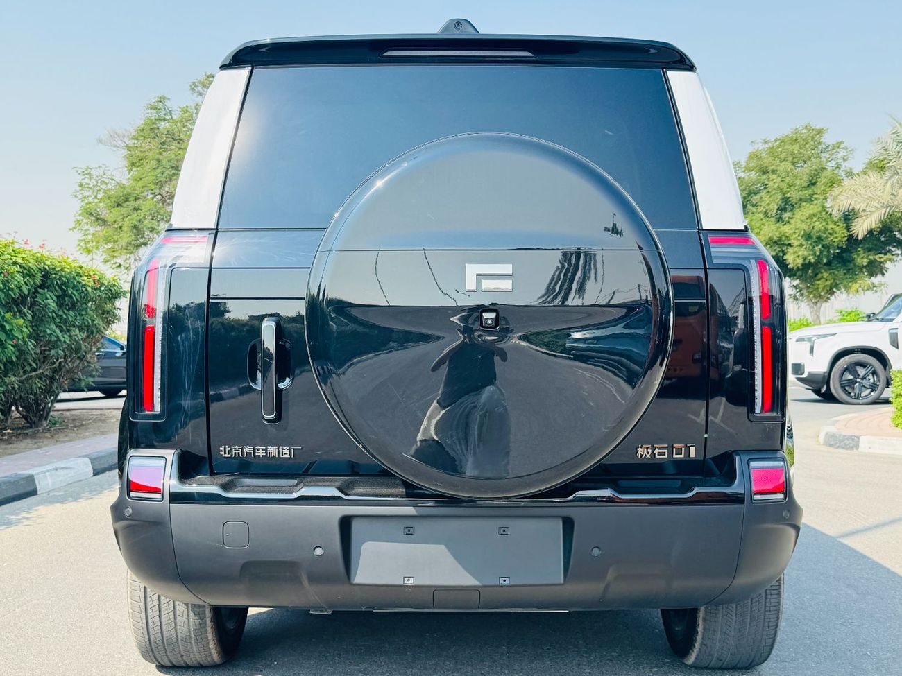 ROX 01 BIG battrery long rang