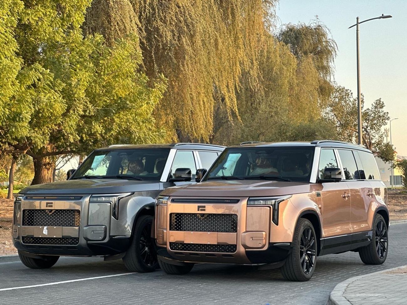 روكس أداماس