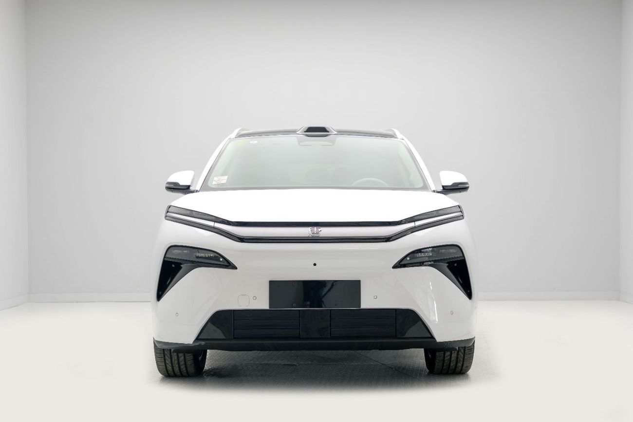 BYD Tang L Flagship- White Inside Black and Grey | Export Only