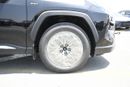 Toyota RAV4 LTD HEV Limited 2.5L HEV AWD With BSM Automatic (Ready Stock)