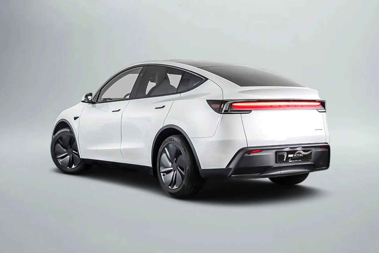 Tesla Model Y LONG RANGE