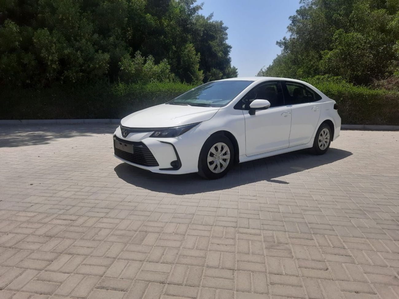 Toyota Corolla XLI