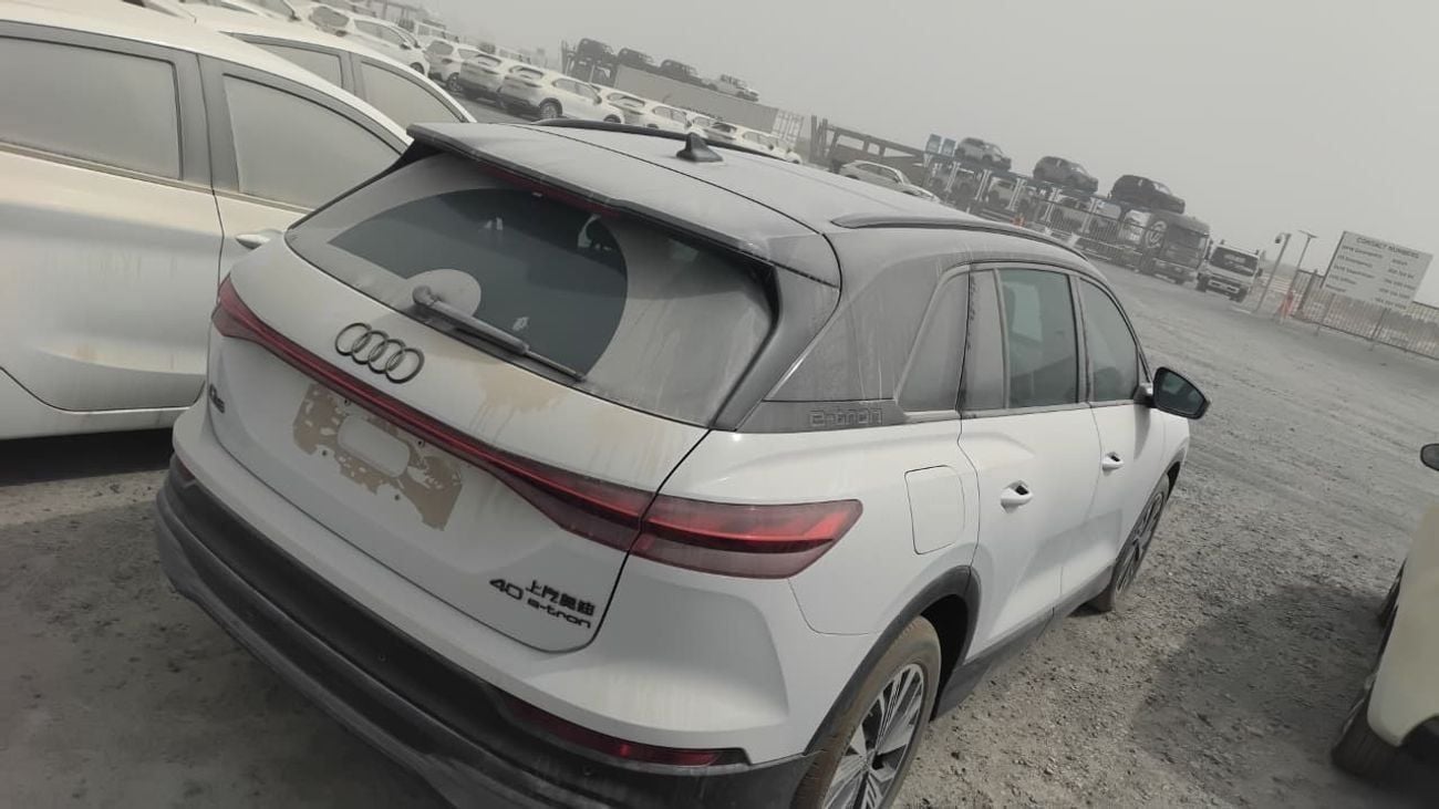 Audi Q5 2023 40 e-tron Shining Jinyi Set Parameter