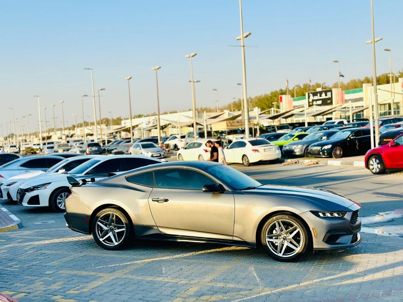 فورد موستانج STD