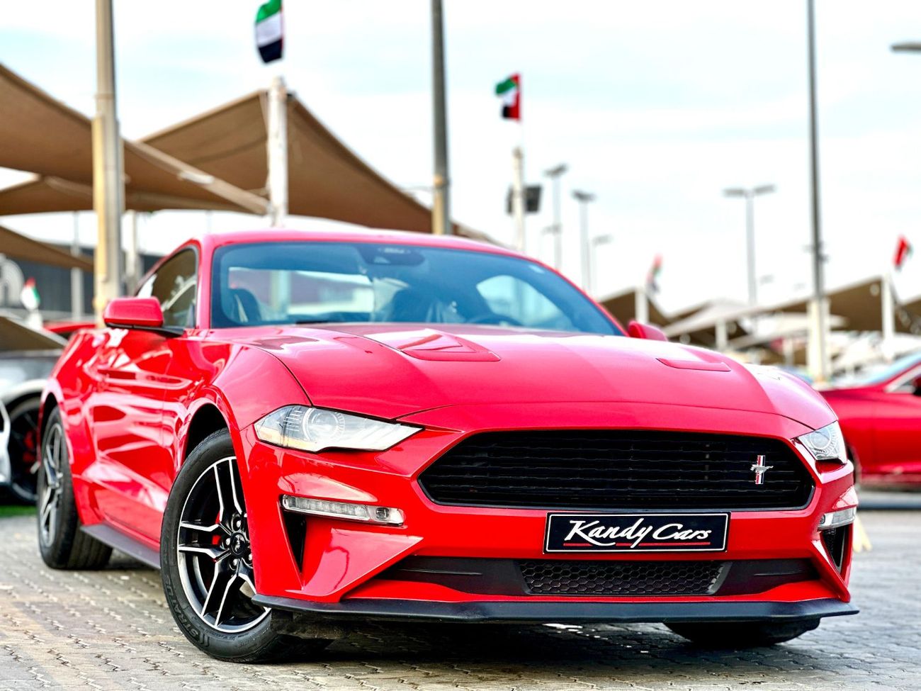 فورد موستانج Ecoboost | Monthly 1200/- | 0% DP | Fog Lights | Original Airbags | Blindspot | # 15790