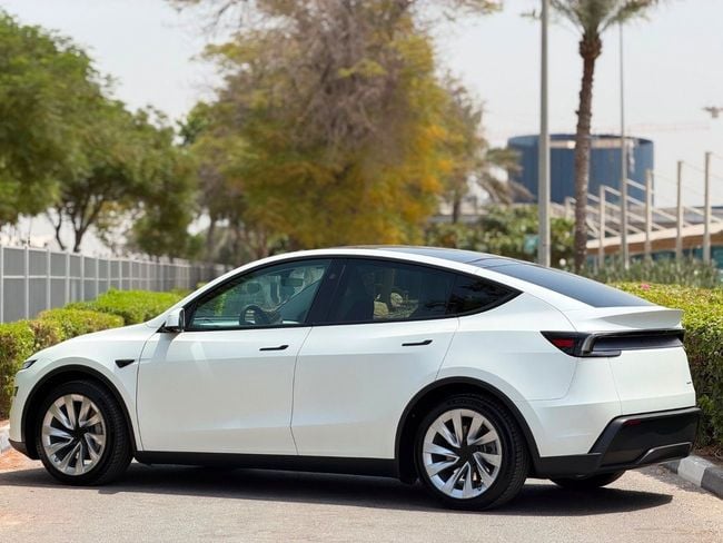 Tesla Model Y LONG RANGE, миниатюра 30