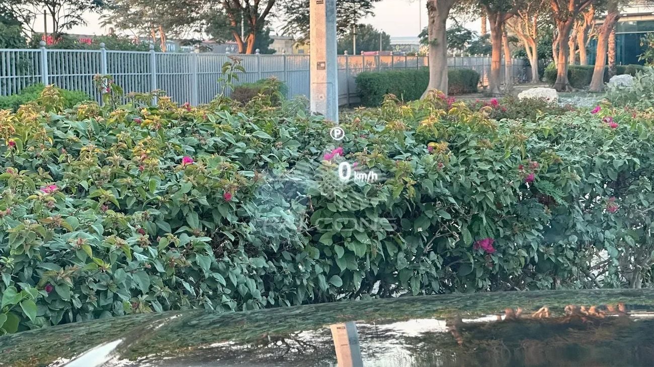 Land Rover Range Rover Land Rover Range Rover 4.4L P530 Autobiography SWB AT