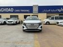 Audi Q5 50 E-TRON