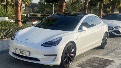 Tesla Model 3 Full self-driving performance model