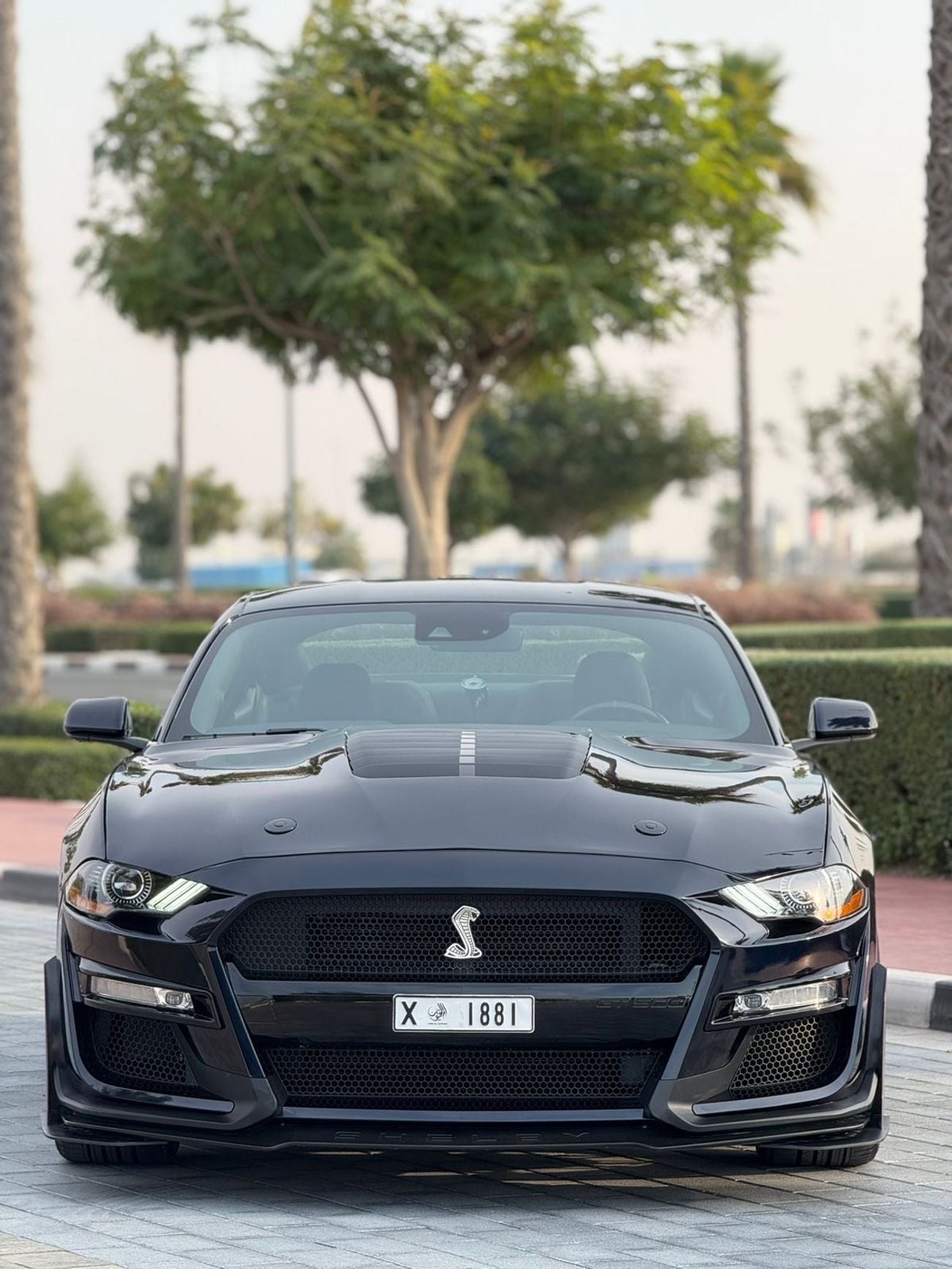 فورد موستانج GT