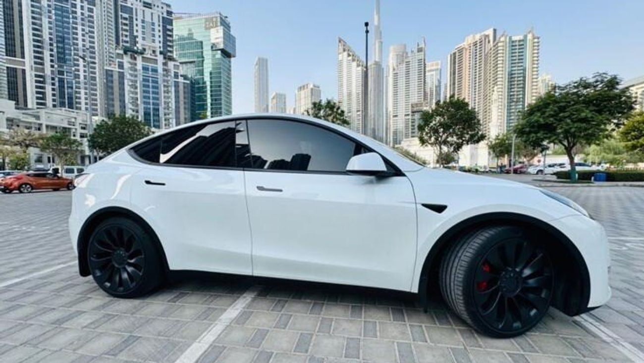 Tesla Model Y PERFORMANCE