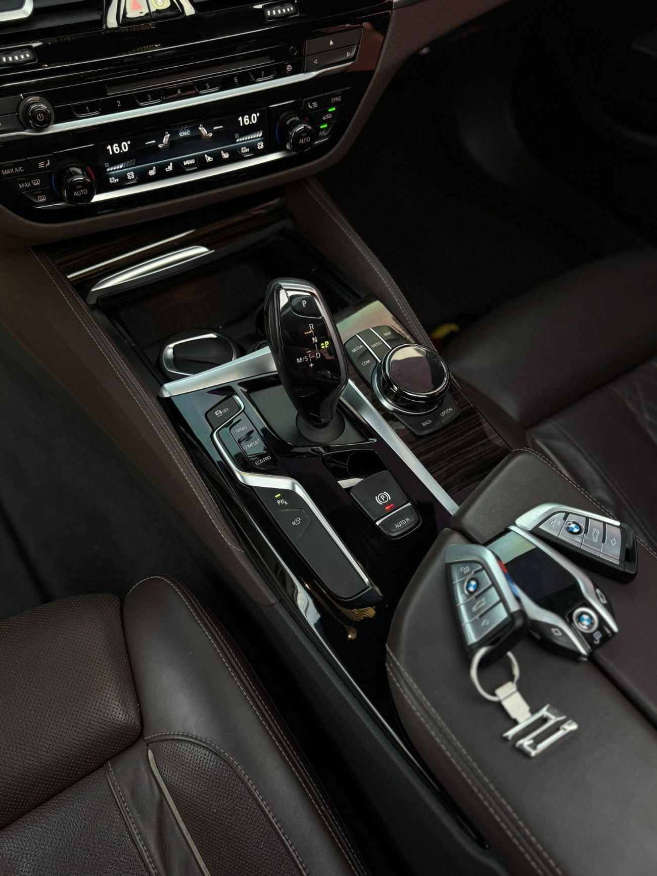 BMW 530i Luxury M Sport Package 2.0L