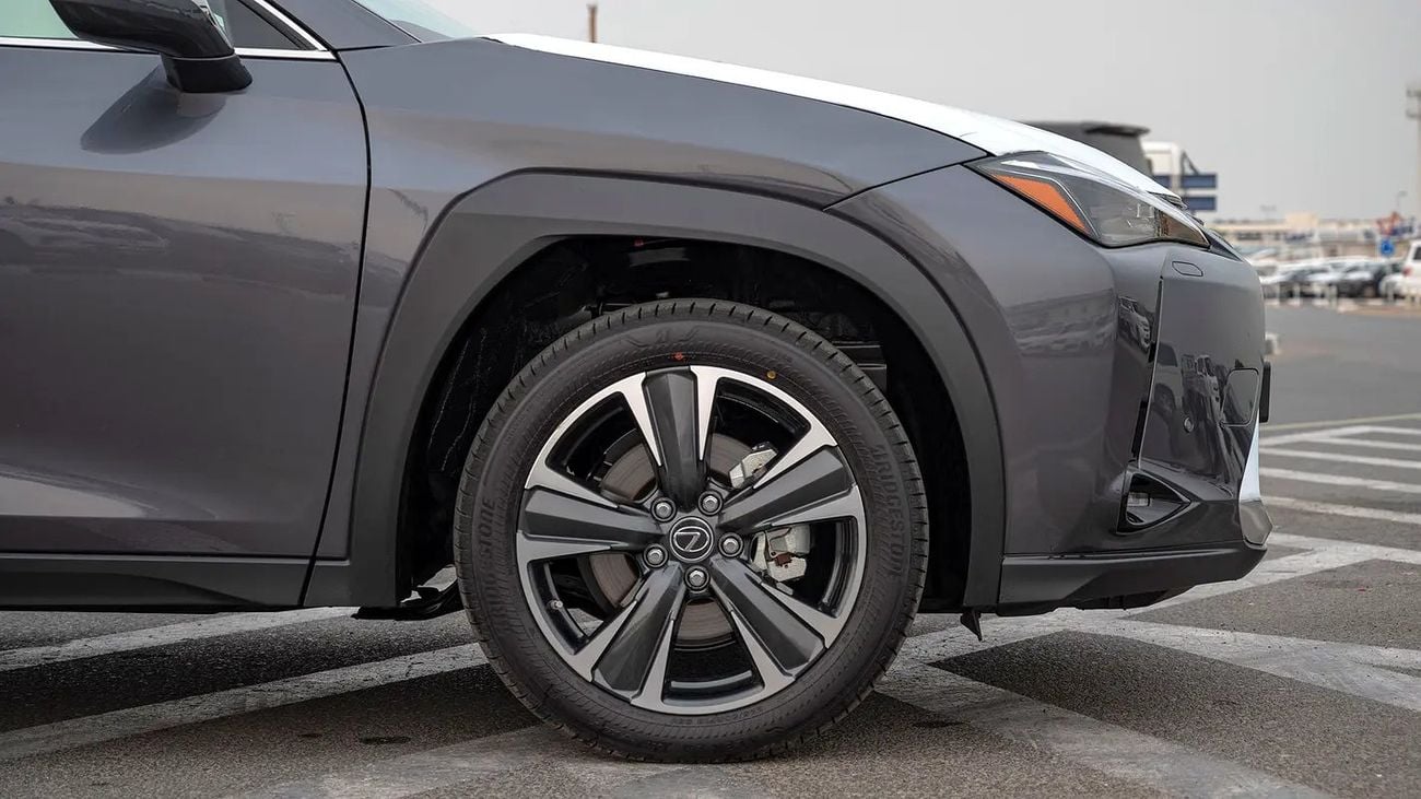 Lexus UX250h UX 250H | 2-YEAR WARRANTY + SERVICE AVAILABLE | IN-HOUSE FINANCING | 0% DOWNPAYMENT (BANK)