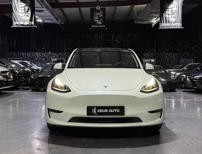 Tesla Model Y Performance (AWD), миниатюра 28