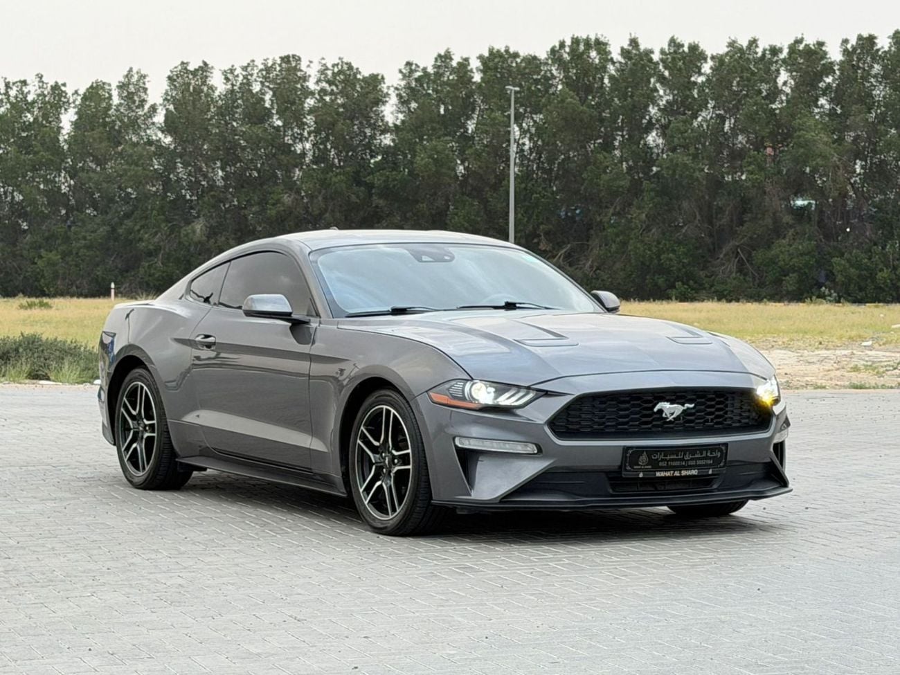 فورد موستانج