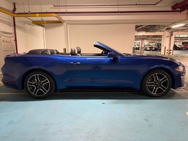 Ford Mustang STANDARD, миниатюра 28