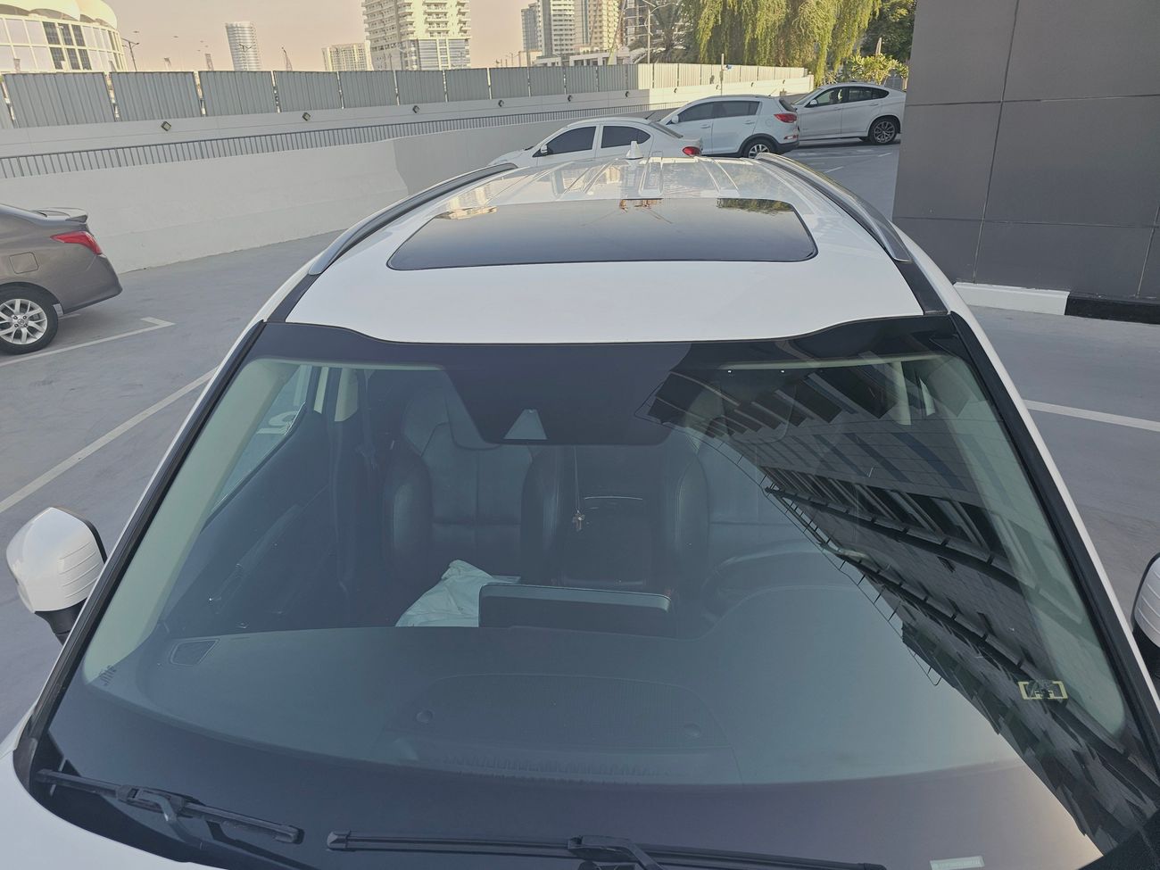 كيا تيلورايد