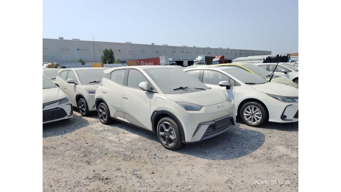 BYD Seagull BYD SEAGULL 2024 FLYING VERSION