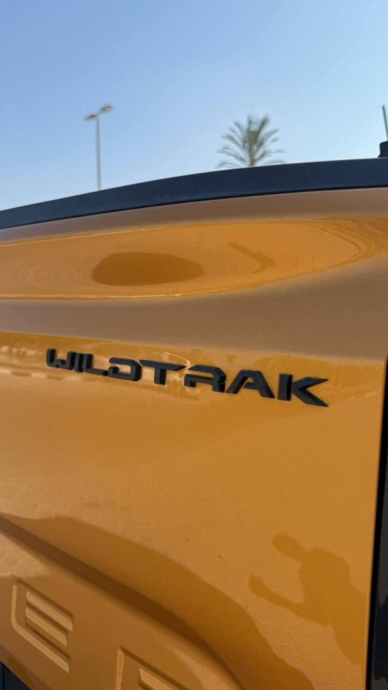 Ford Ranger Wildtrak 3.2L (197 HP) 4WD