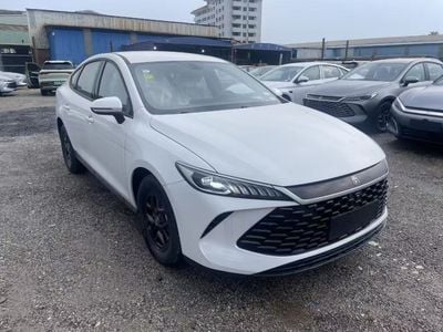 BYD QIN PLUS white-grey white-beige