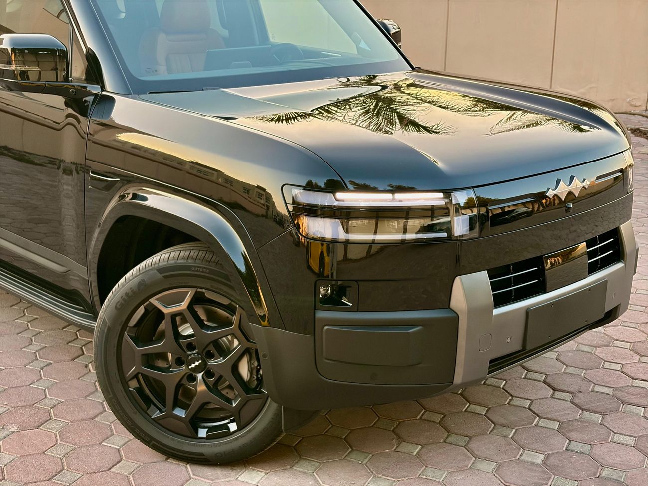 بي واي دي ليوبارد تيتانيوم 7