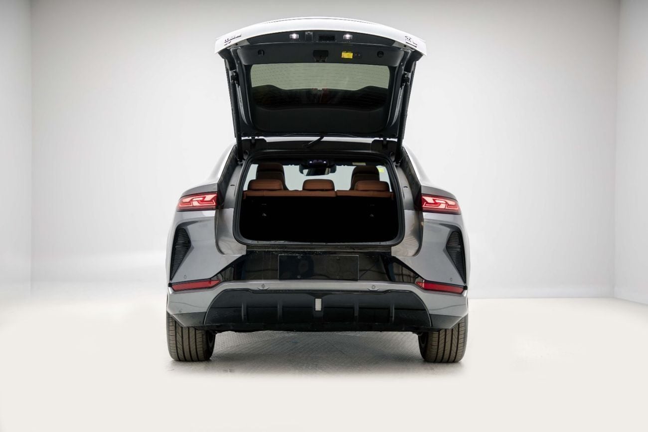 بي واي دي سونغ ل ID Laser Radar EXL - Grey Inside Tan | Export Only