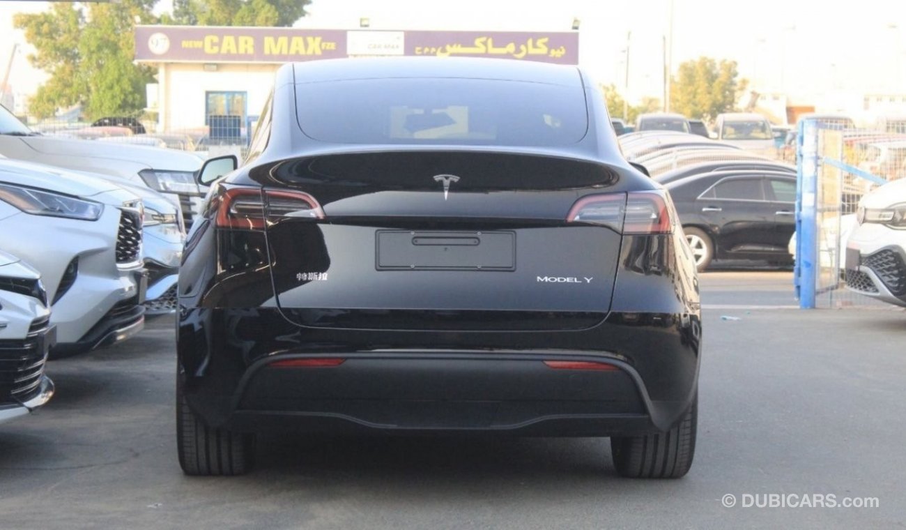 Tesla Model Y Standard Range RWD 2022Model for export