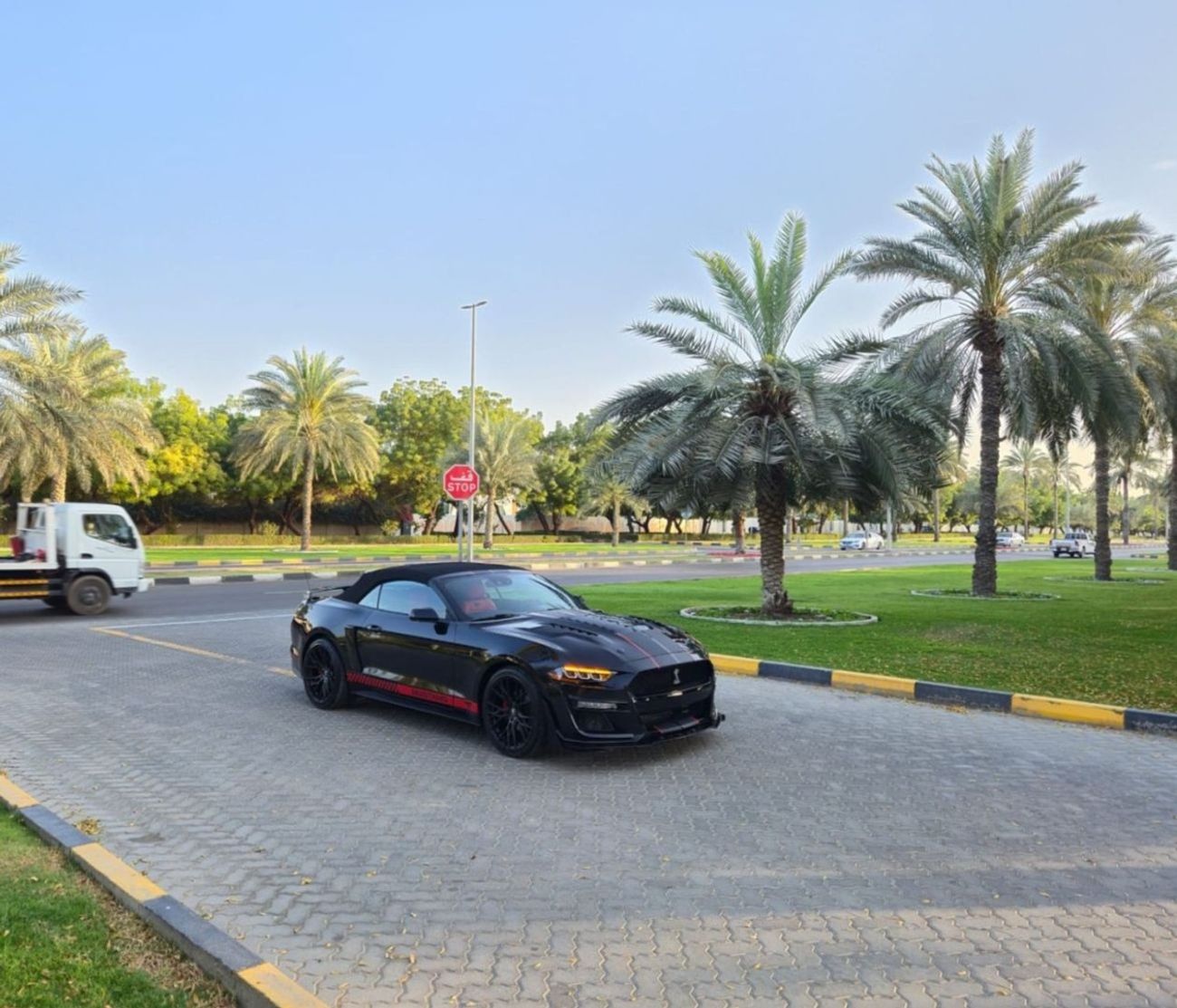 Ford Mustang EcoBoost 2.3L Convertible A/T
