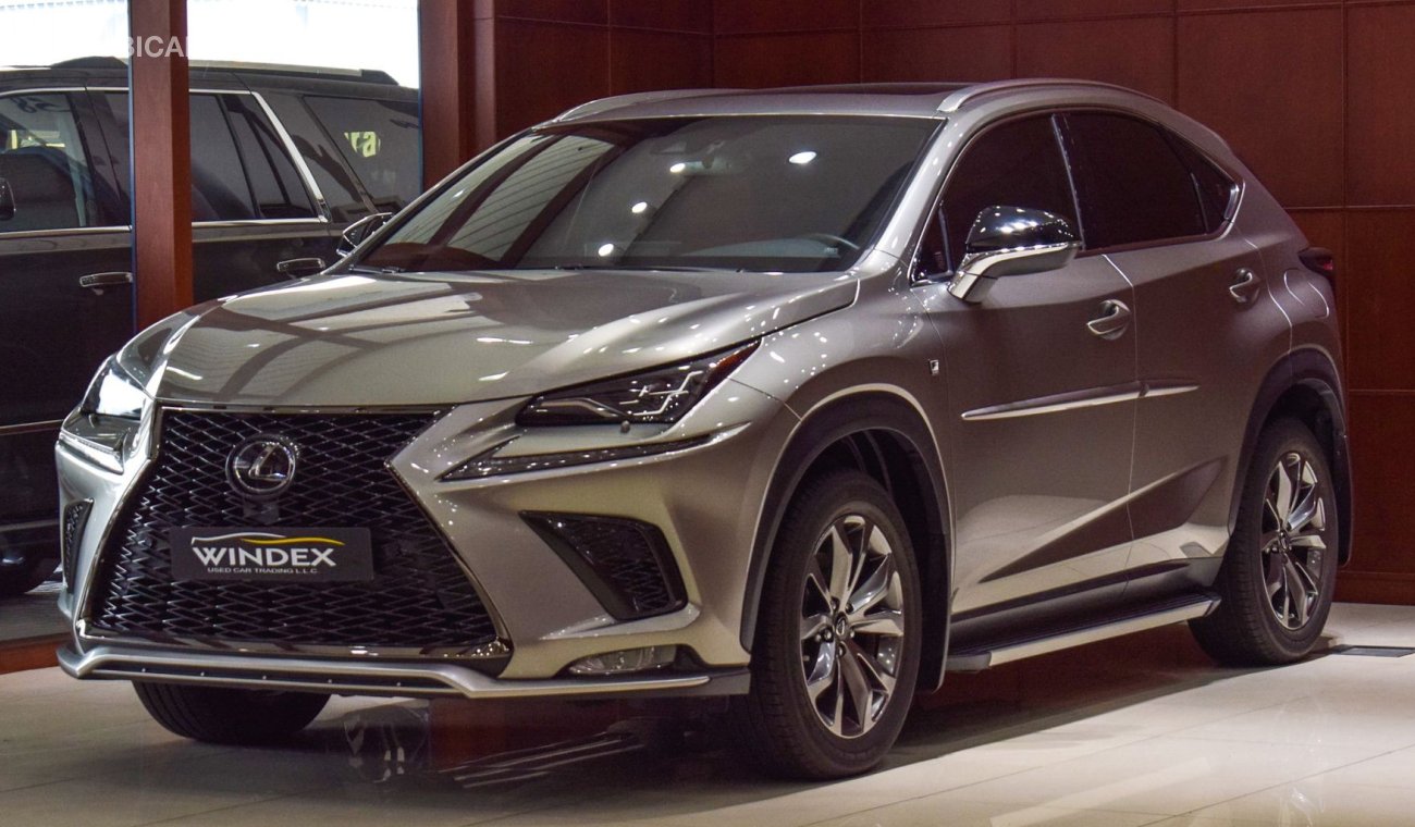 Lexus NX300 F Sport