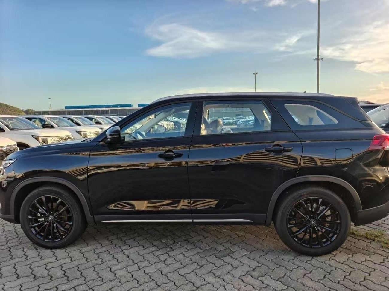 تشنجان CS75