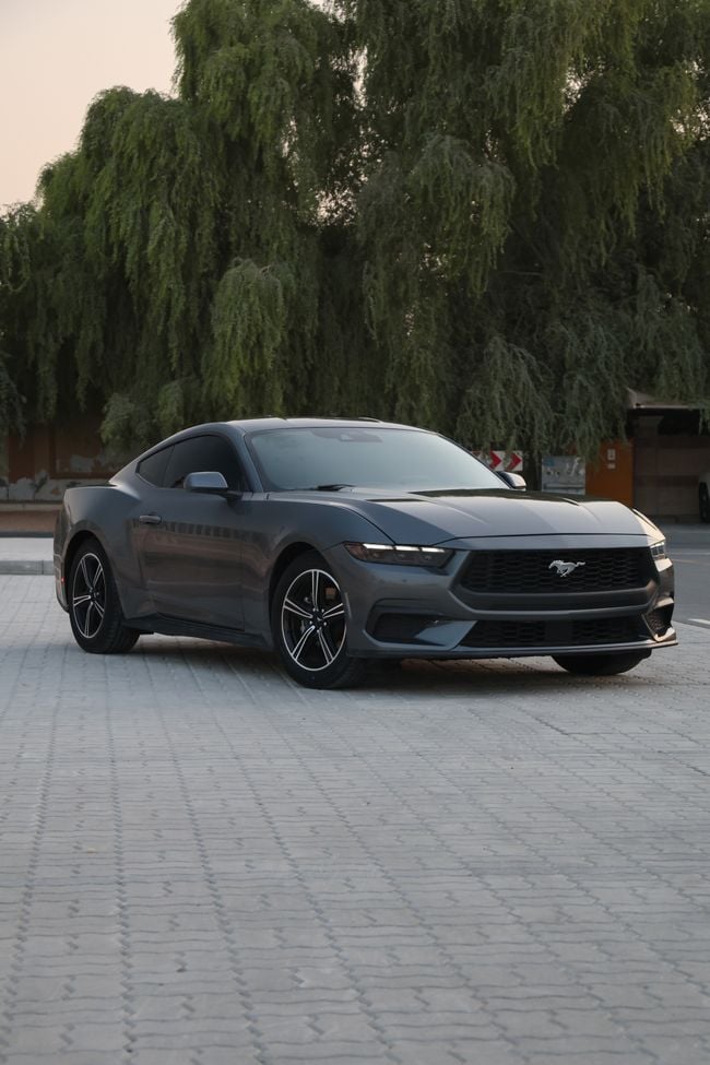 Ford Mustang STANDARD, миниатюра 17