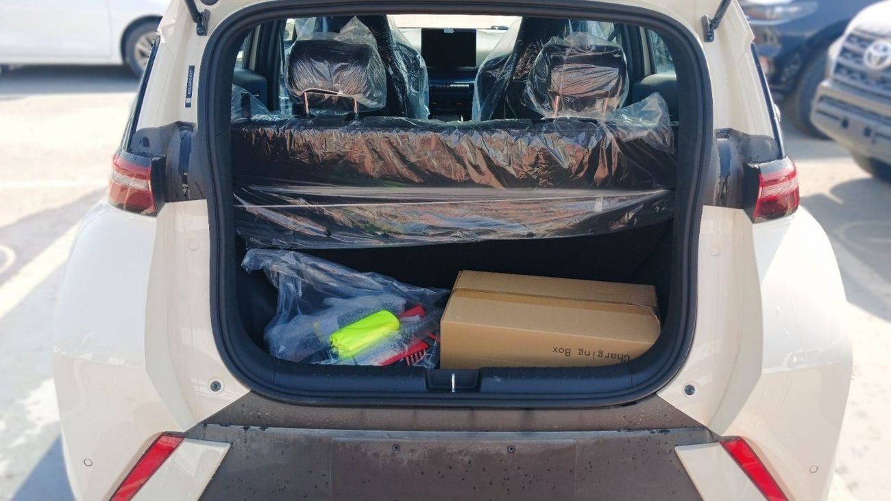 BYD Seagull BYD Seagull Flying 405Km Range 2025YM