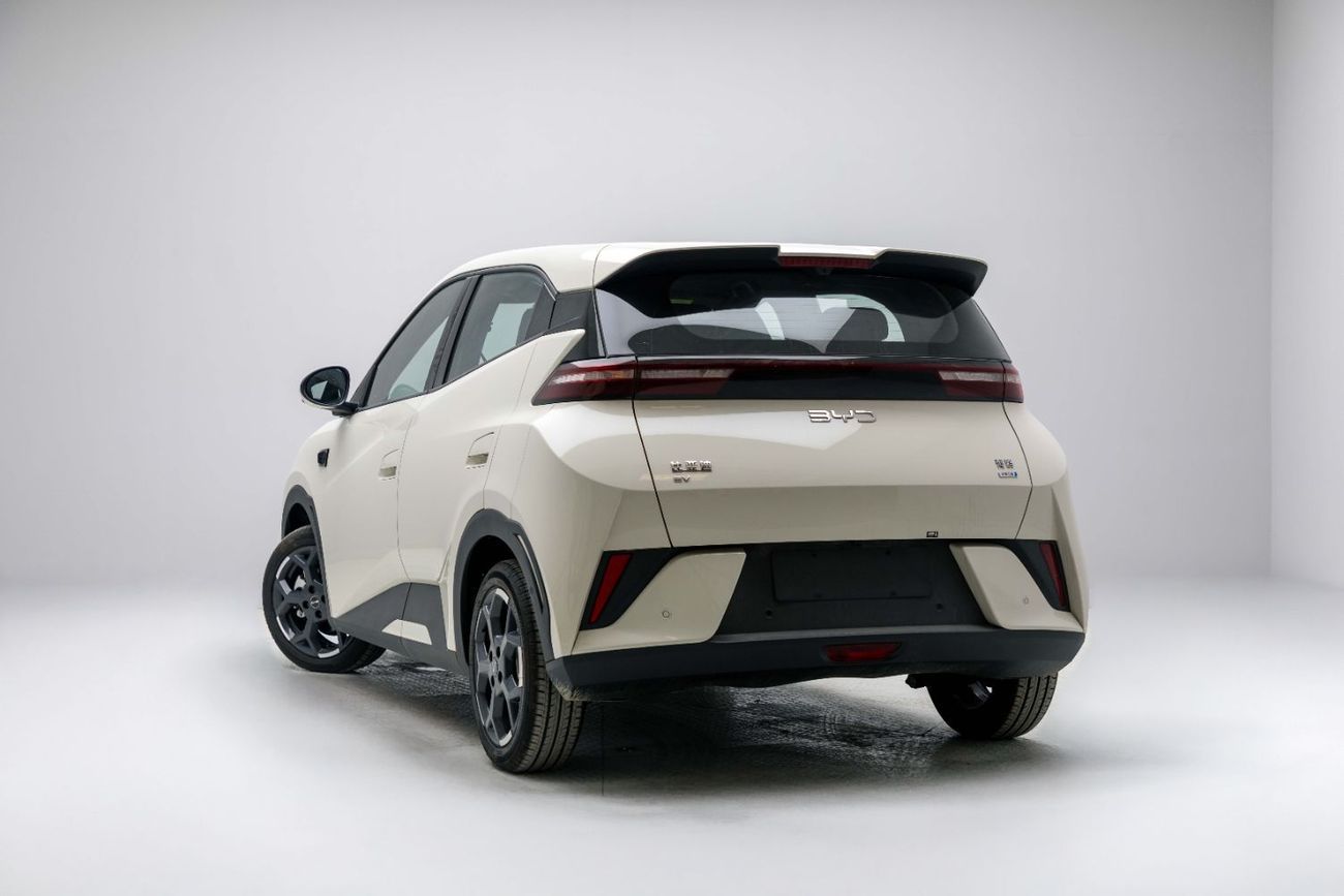 BYD Seagull ID Flying - White Inside Blue | Export Only