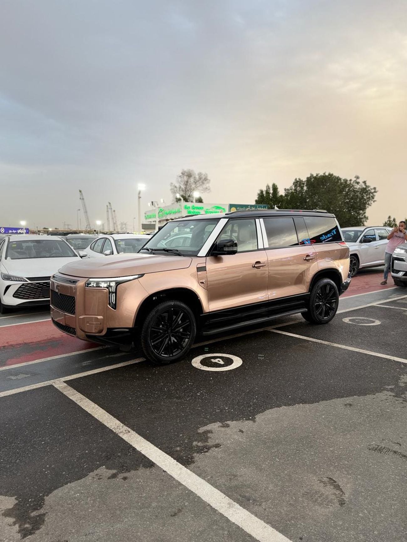 روكس أداماس FIRST CLASS 7 seats big battery full option