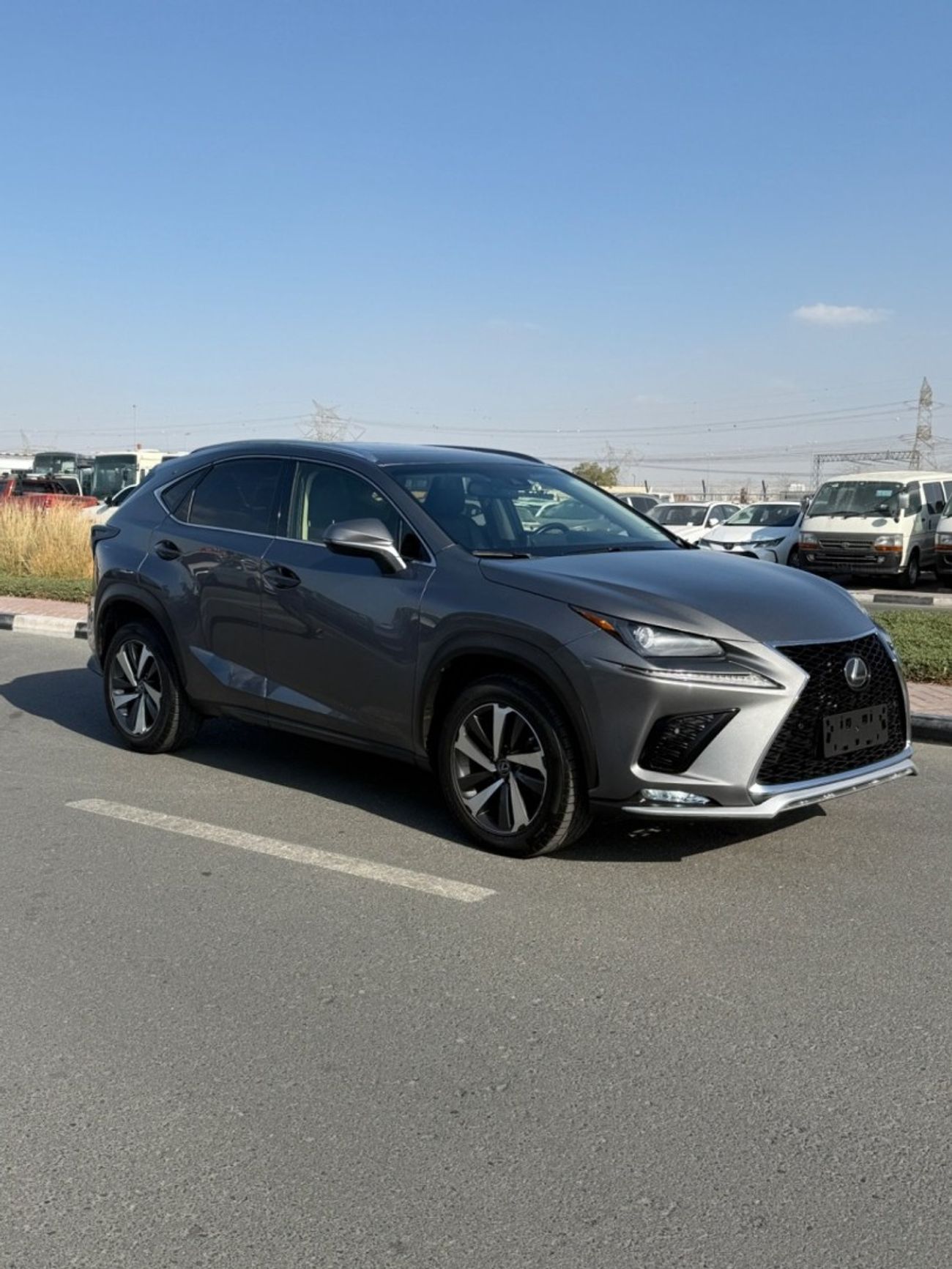 Lexus NX300 Platinum 2.0L