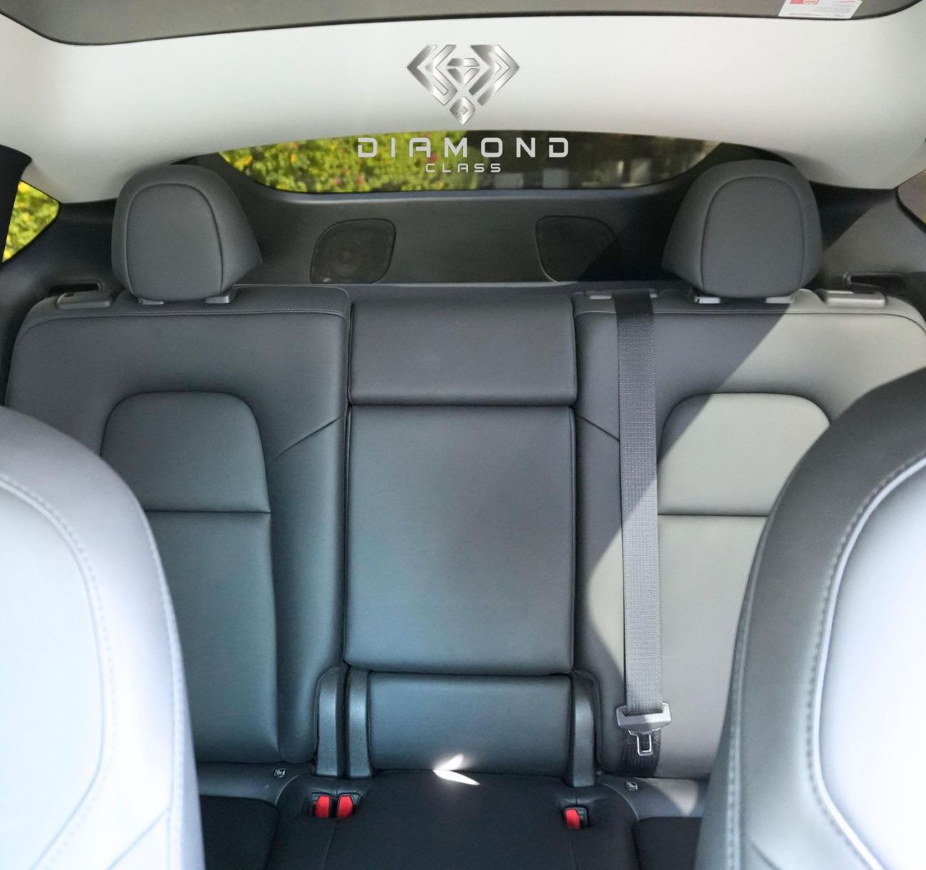 تسلا موديل Y Long Range (AWD)