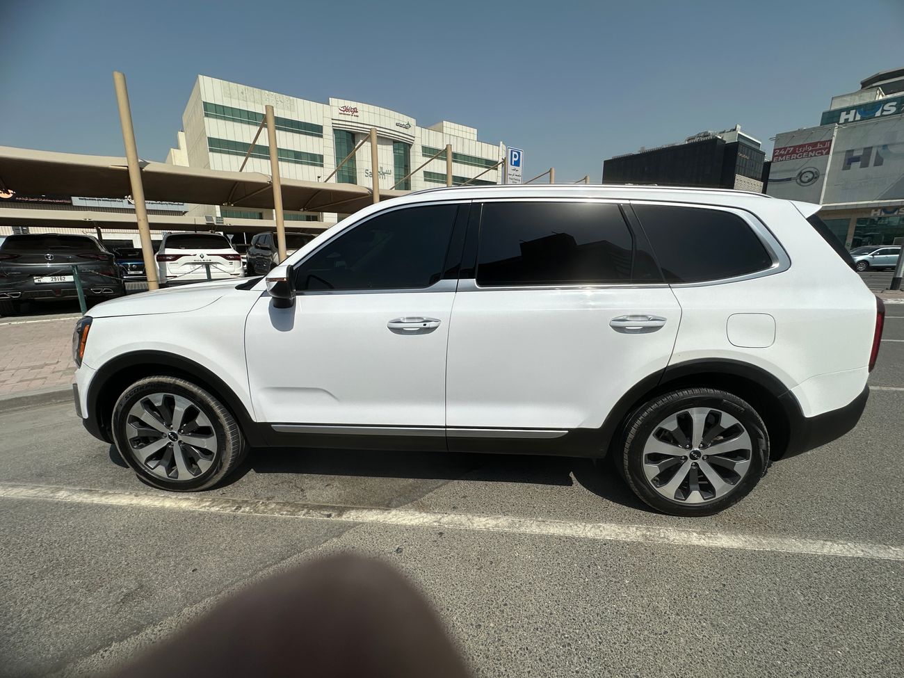 كيا تيلورايد