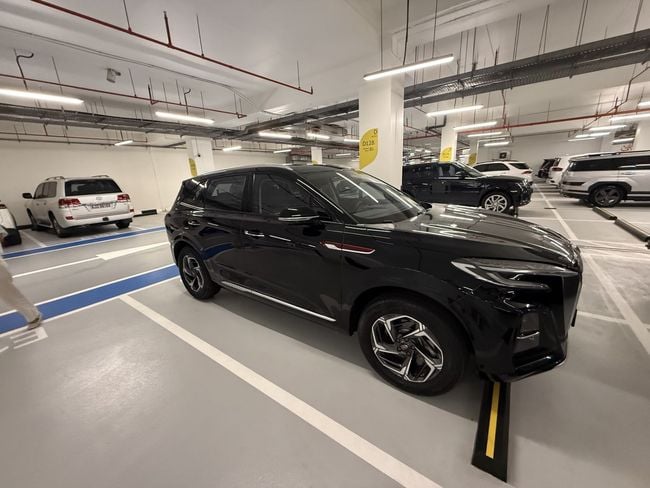 Hongqi HS3 LUXURY, миниатюра 24