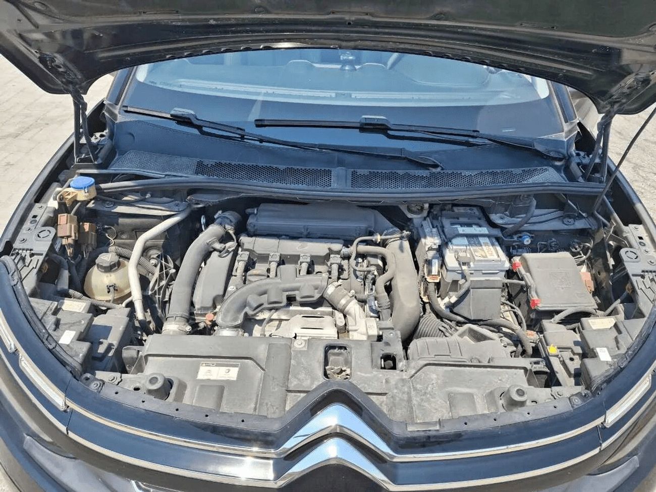 سيتروين C5 Shine