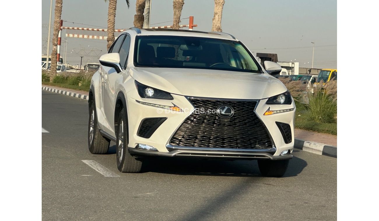 Lexus NX300 Platinum Nx300T 2019 full option