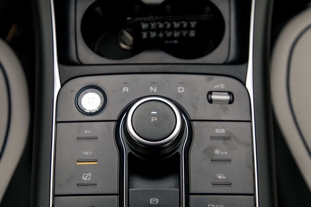 BYD Destroyer 05 Luxury -1.5L White Inside Grey | Export Only