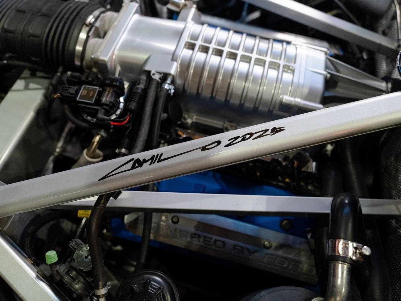 Ford GT Rare 1 of 14 Stripe Delete