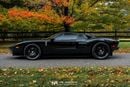 Ford GT Rare 1 of 14 Stripe Delete