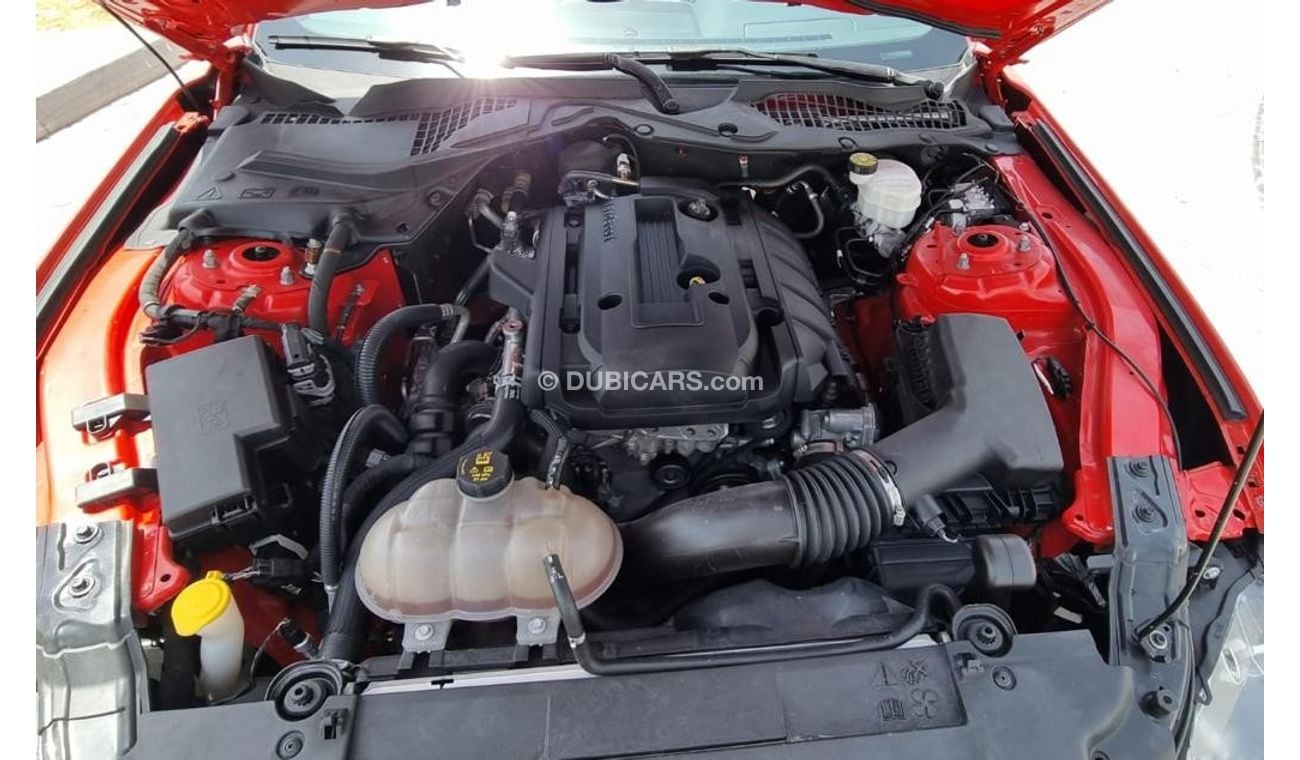 Ford Mustang EcoBoost With Shelby Kit Upgrade