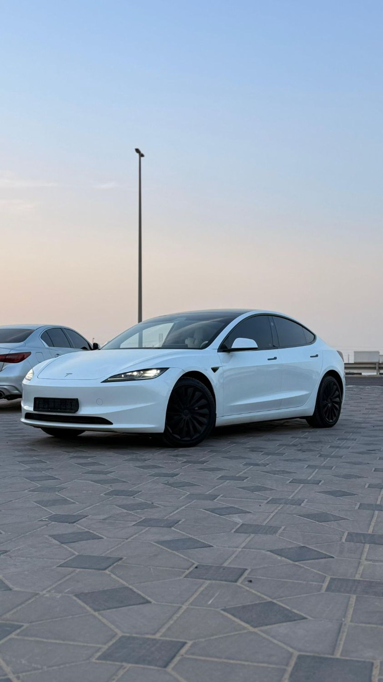 Tesla Model 3 Performance (AWD)