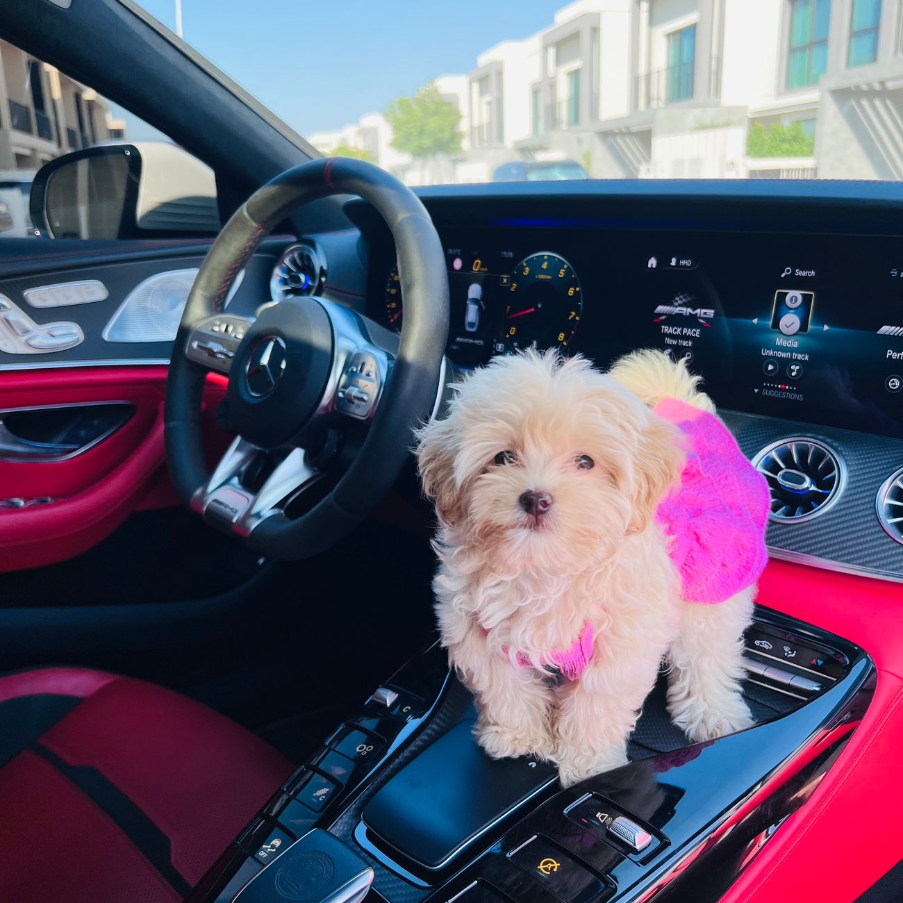 Mercedes-Benz GT 63 S AMG 4MATIC+